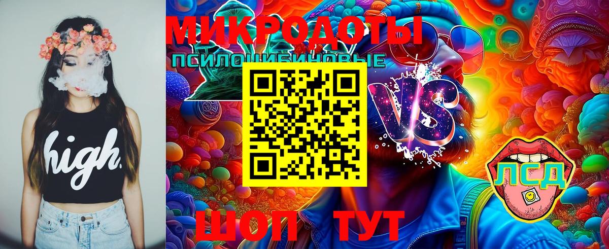 Галлюциногенные грибы Psilocybe  Вход с VPN  Воскресенск 