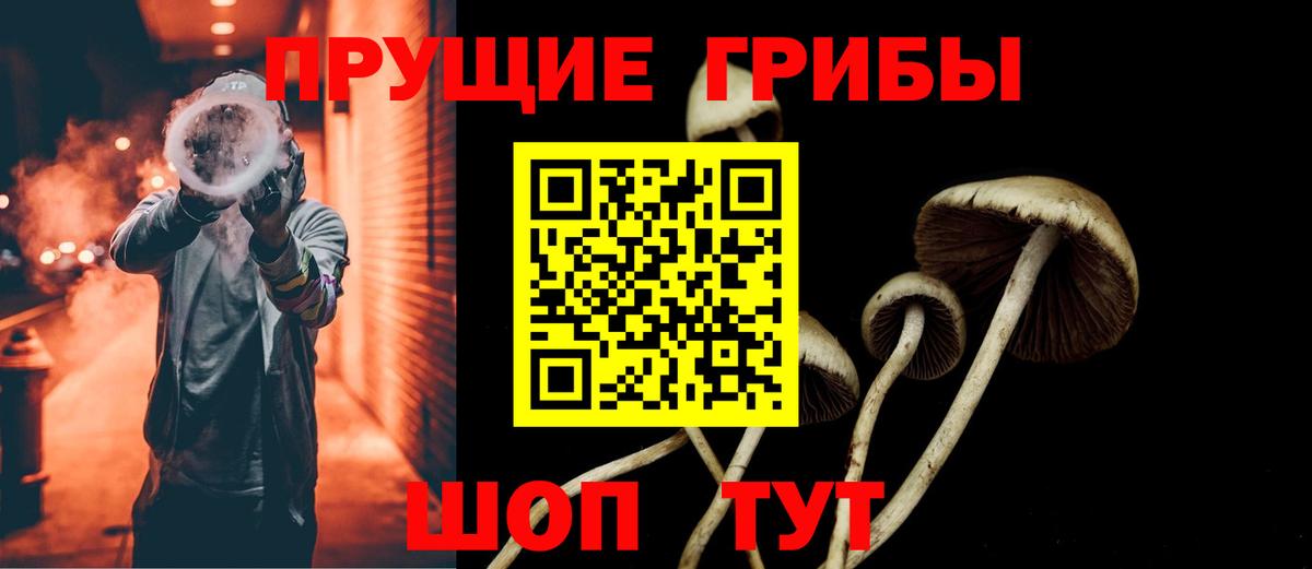 Галлюциногенные грибы Psilocybine cubensis Воскресенск